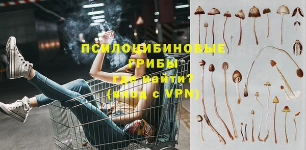 Альфа ПВП Верея