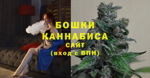 Альфа ПВП Верея