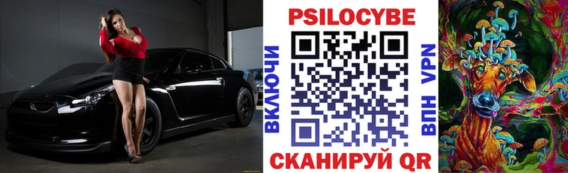 Псилоцибиновые грибы Psilocybine cubensis  купить  цена  Бугуруслан 